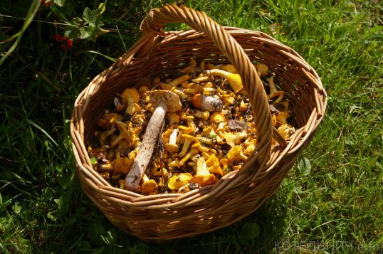 Котельнич сегодня