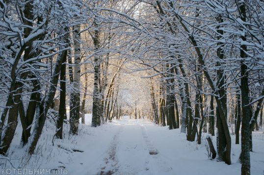 Февральская погодка